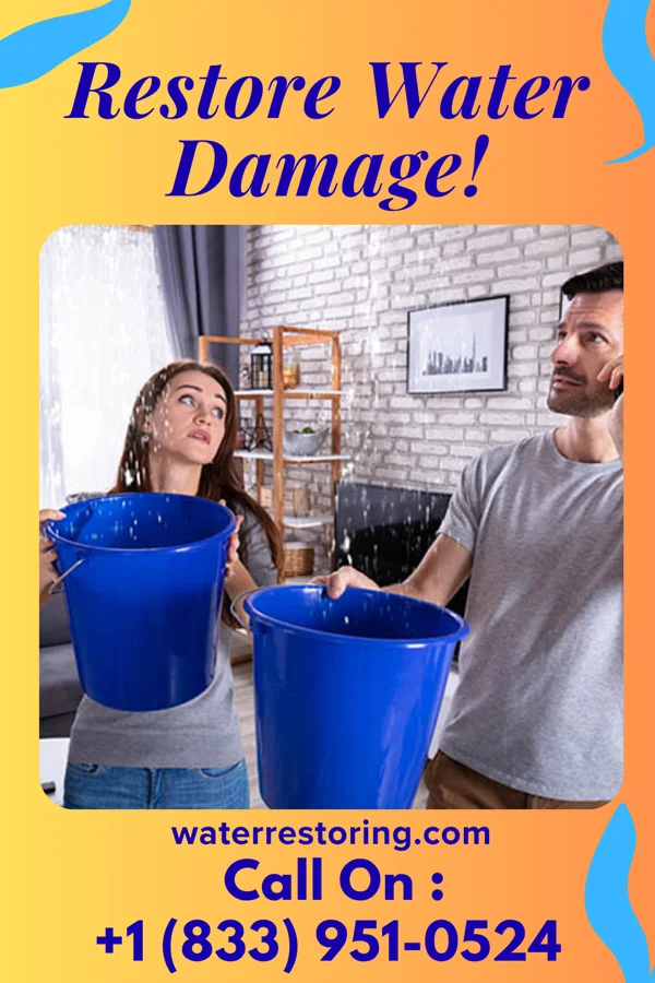 water restoration First Water Damage Force Ventress